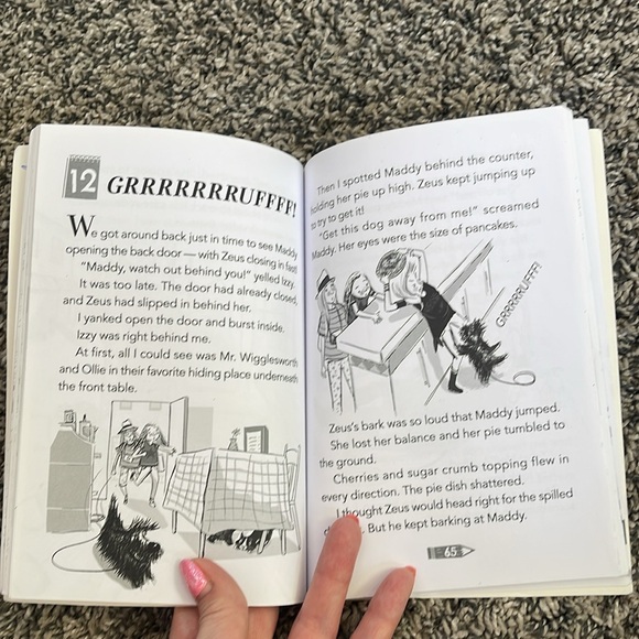 Kids book 📕 Hero Dog by Hilde Lysiak Scholastic paperback book - Picture 13 of 17